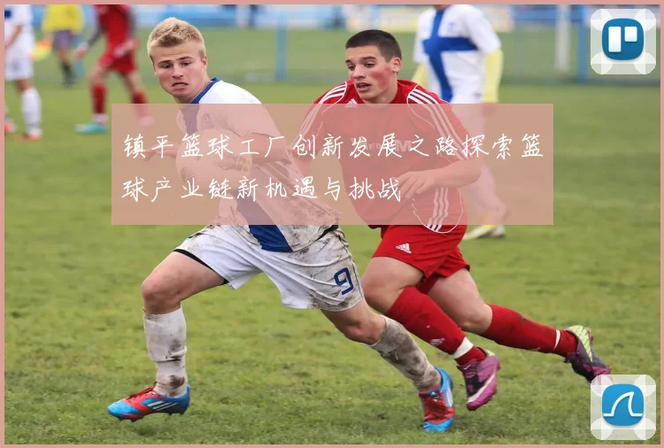 镇平篮球工厂创新发展之路探索篮球产业链新机遇与挑战