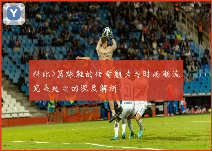 科比5篮球鞋的传奇魅力与时尚潮流完美结合的深度解析