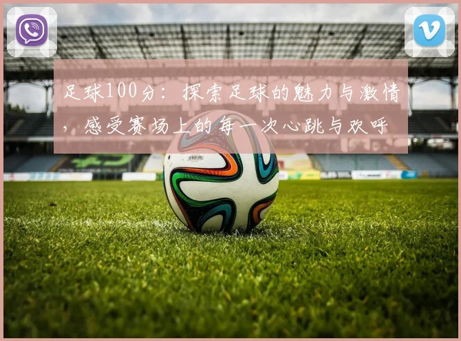 足球100分：探索足球的魅力与激情，感受赛场上的每一次心跳与欢呼
