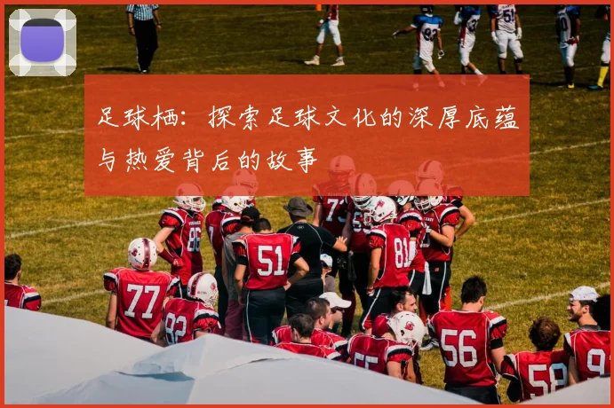 足球栖：探索足球文化的深厚底蕴与热爱背后的故事