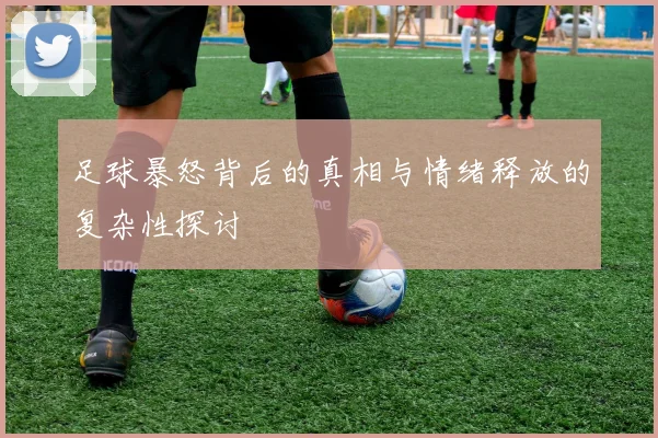足球暴怒背后的真相与情绪释放的复杂性探讨